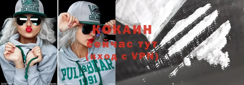 COCAIN Fish Scale  купить   Белогорск 